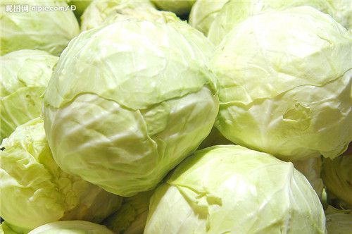 怀孕可以吃圆白菜吗？怀孕吃什么比较好