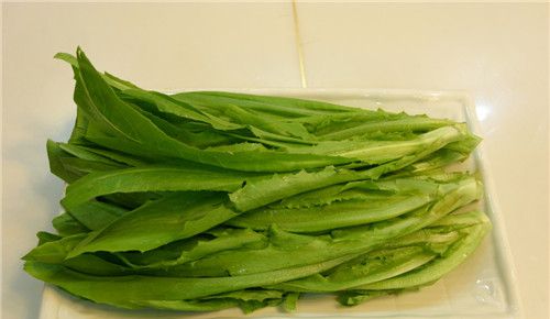 怀孕可以吃油麦菜吗？怀孕吃什么比较好