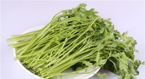 怀孕可以吃芹菜吗？怀孕吃什么比较好