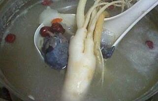 白豆蔻炖雌乌鸡的作用与功效禁忌、做法与标准原方组成配方