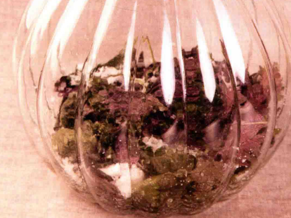 如何自制​紫苏酵素?​紫苏酵素的制作方法步骤与作用功效
