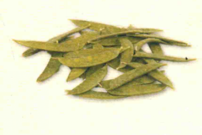 如何自制荷兰豆酵素?荷兰豆酵素的做法步骤与作用功效