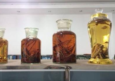 温补肾阳的药酒配方大全_温补肾阳中药泡酒配方