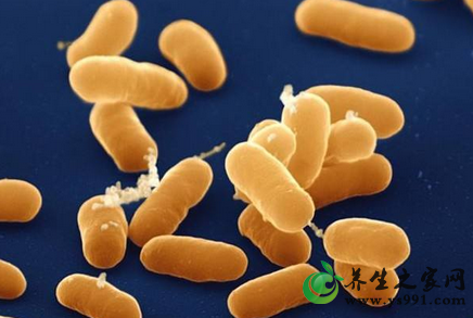 微生物酵素的代谢产物有哪些？益生菌的3大代谢产物