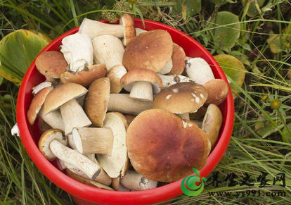 最防癌的食物有哪些？11大十大抗癌食物排行榜