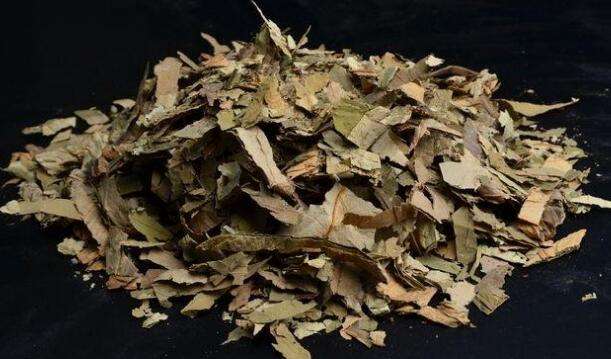 中药毒性研究的历史和现状