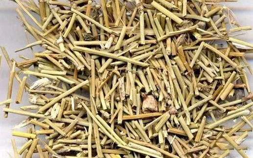 李克绍麻黄汤治疗瘾疹医案经验