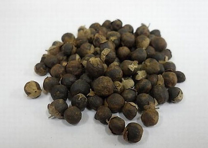 荆芥(穗)合蔓荆子药对配伍的作用与功效_白术和决明子同服