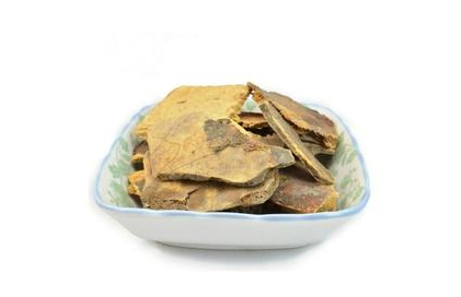中医孙朝宗应用龟甲治心痛经验医案