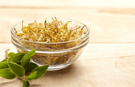 白清佐重用金银花治疗乳痈经验医案