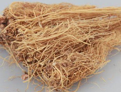刘沛然重用细辛治慢性中耳乳突炎术后麻痹经验医案