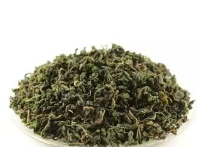 桑叶应用配伍_桑叶与哪些重要配伍效果好?
