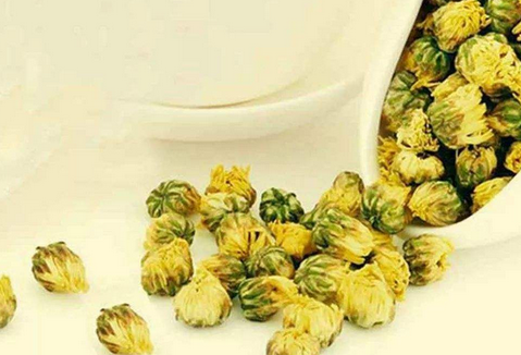桑叶与菊花药对配伍的作用与功效_	菊花桑叶可以一起泡吗