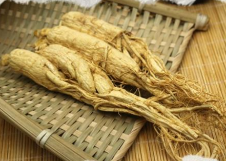 火神派人参四逆汤加味治疗慢惊风医案案例