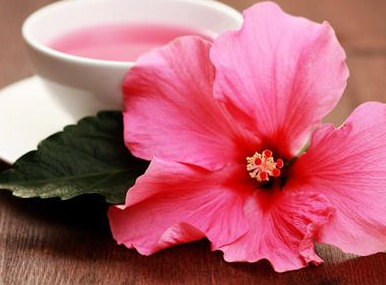 麻黄细辛附子汤可以治疗妇科疾病白带增多吗？