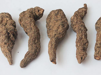 地黄肉桂治疗失眠偏方_地黄肉桂作用功效能治失眠吗?